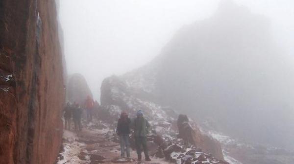 este pentru prima data in viata mea cand vad asta ce s a intamplat azi in egipt si ce spun specialistii video