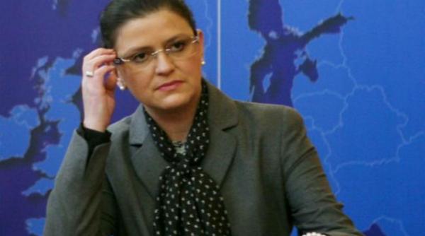 boagiu despre criticile lui basescu pdl face opozitie sunt legi care revin la parlament de la cc