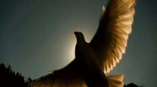 marturiile emotionate ale unor romani care au vazut lumea de dincolo video