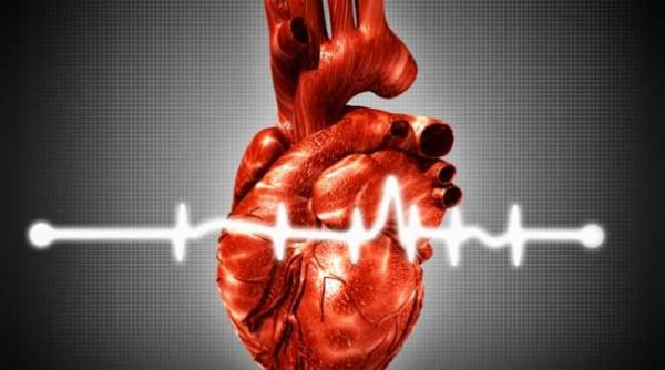 o inima artificiala aproape perfecta