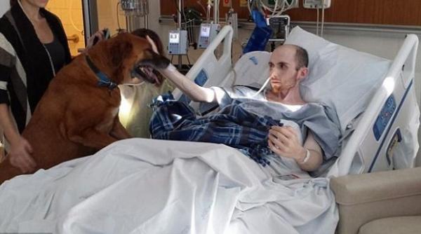 momentul in care un tanar bolnav de cancer i i ia adio de la cei dragi cum reac ioneaza cainele pe care l a avut din copilarie