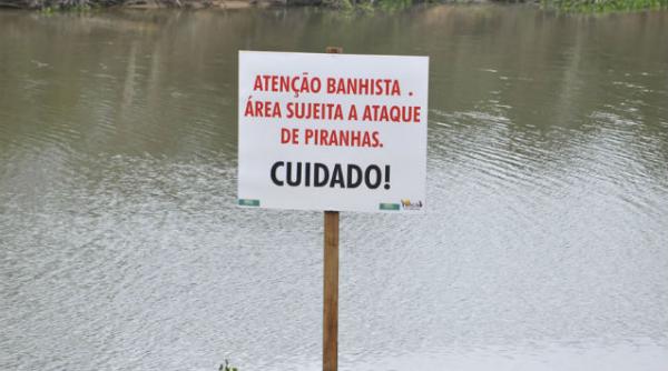 60 de raniti in argentina dupa un atac al pestilor piranha