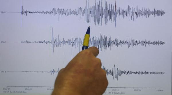 iinca un cutremur in zona vrancea seismul a avut o magnitudine de 3 1 grade pe richter