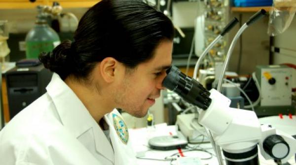 top 10 descoperiri medicale din 2013