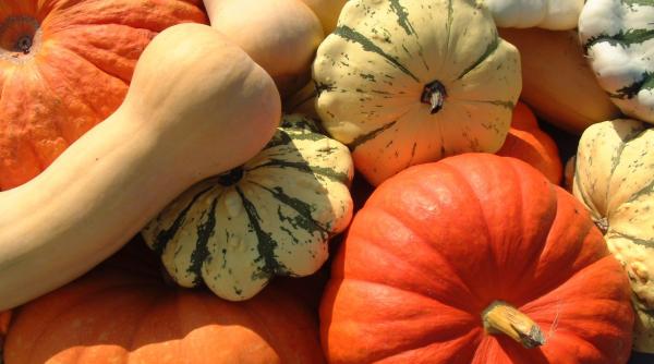 4 legume de sezon pentru s n tatea ta