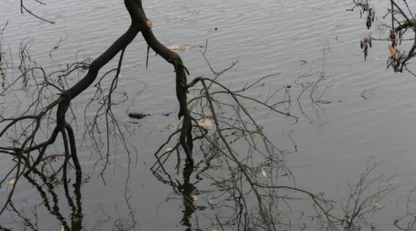 gerul bobotezei o amintire temperaturile pot ajunge astazi si la 15 grade celsius