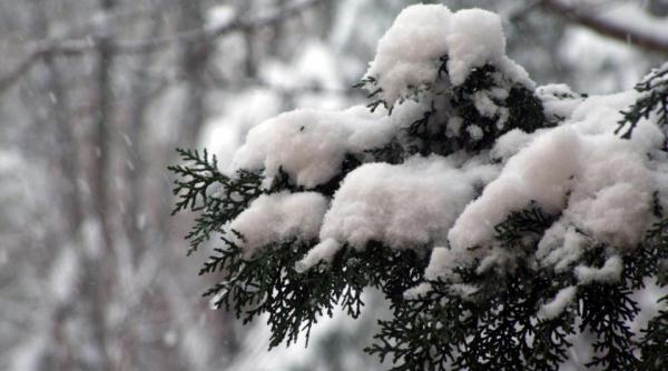 meteorologii anunta ninsori in aproape toata tara vezi prognoza meteo pentru intervalul 6 19 ianuarie