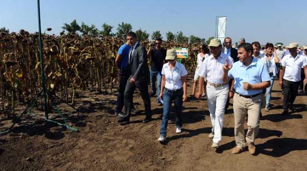 presedintele in conflict de interese clanul basescu este deranjat de liberalizarea achizitiei de terenuri agricole ca atare a respins legea