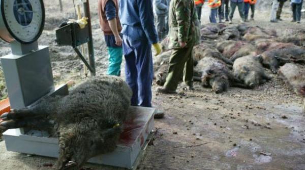 incepe vanatoarea de la balc ce vip uri au raspuns invitatiei lui ion tiriac