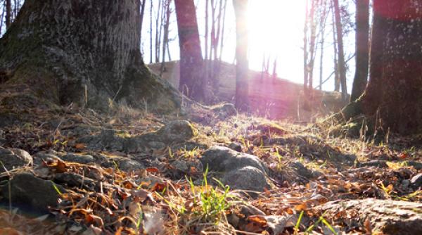 vremea la inceputul saptamanii vezi prognoza meteo pentru urmatoarele zile