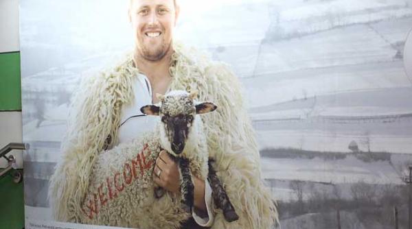 ghita intruchiparea visului american in poiana lui iocan