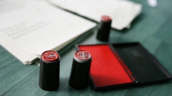 usl alegerile europarlamentare si referendumul pentru validarea constitutiei vor fi organizate simultan