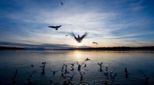vreme neobisnuit de calda in urmatoarele doua saptamani vezi prognoza meteo pentru intervalul 13 26 ianuarie