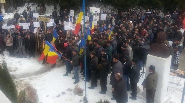 protest in apuseni impotriva exploatarii excesive a padurilor opriti macelul