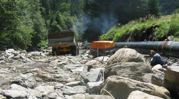 varga rata taierilor ilegale din paduri este de doua ori mai mare decat cea a impaduririlor