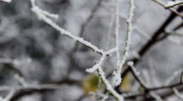temperaturile scad cu pana la 10 grade si vin ninsorile vezi prognoza meteo pentru intervalul 20 ianuarie 2 februarie