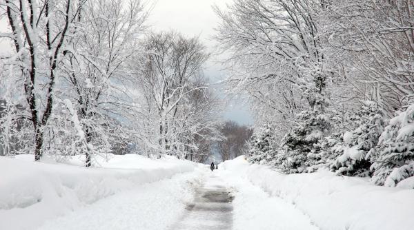 informare meteo de ninsori viscolite si racire accentuata in toata tara guvernul a convocat comandamentul de iarna