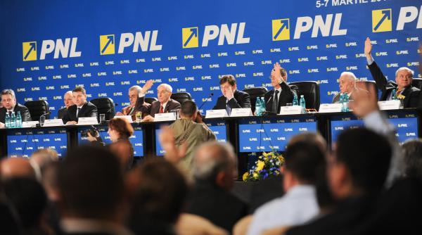 pnl demisie radu stroe