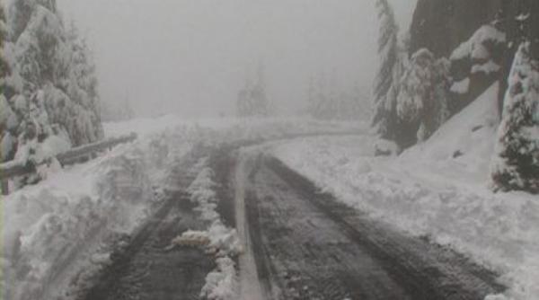 bacau drum inchis circulatie vreme