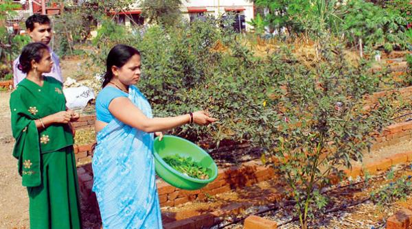 india legumele ecologice proaspete fac minuni in cazul copiiilor care urmeaza terapia cu citostatice
