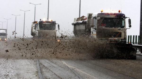 cinci societati de deszapezire amendate de politie in dambovita
