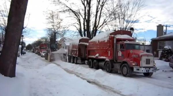 cum se face deszapezirea in japonia sua ori canada nametii ajungeau la 5 metri