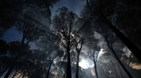 este un miracol ca l am gasit in viata un copil de patru ani s a pierdut 30 de ore in munti si a supravietuit cum a fost posibil