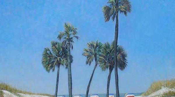 val de frig neobisnuit in sud estul sua florida se pregateste de ninsoare