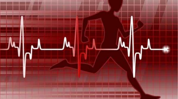 celule suse pot regenera muschiul inimii afectat de infarct