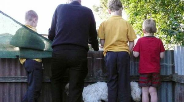 cine spune ca nu ti poti alege vecinii infractorii din suedia cunoscuti prin simpla accesare a unui site