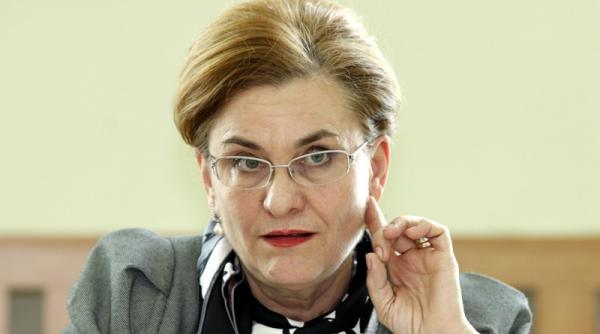 maria grapini pleaca din guvern ministrul delegat pentru imm va candida la europarlamentare