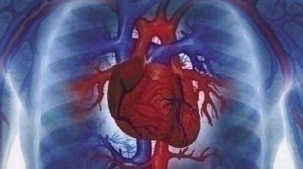 riscul de insuficienta cardiaca creste cu peste 30 in cazul persoanelor care stau peste cinci ore in fata unui calculator