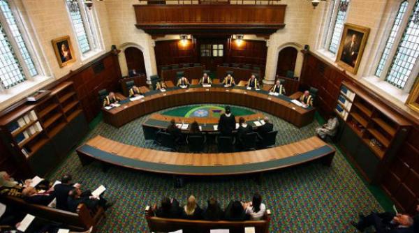 jignire sotie razbunare