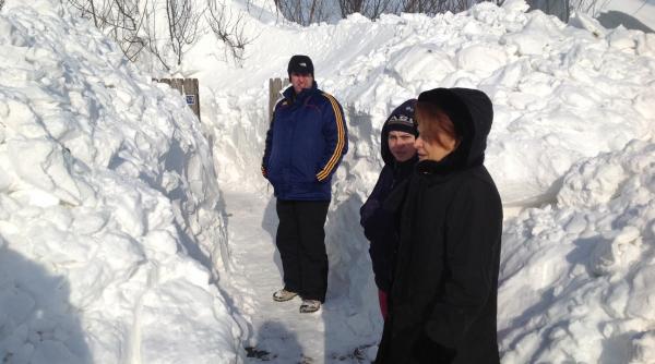 rovana plumb declaratie deszapezire