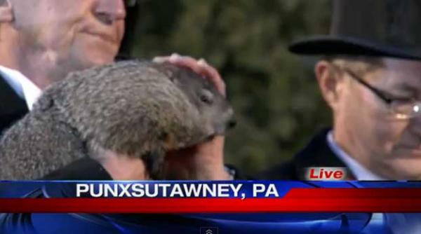 prognoza marmotei phil urmeaza inca sase saptamani de iarna video