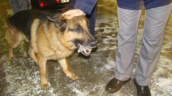 suceava retinuti de politie dupa ce au fost depistati transportand tigari de contrabanda de peste 180 000 lei