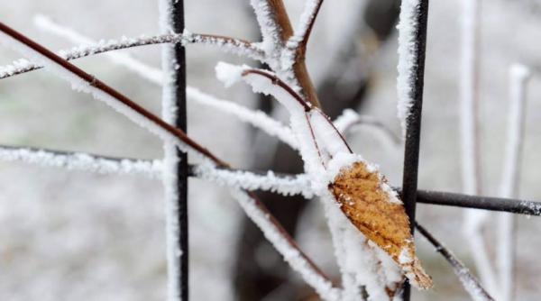 cum va fi vremea pana pe 16 februarie prognoza meteo pentru fiecare regiune a tarii