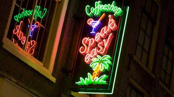 legalizare cultivare marijuana olanda