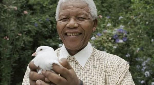 testamentul lui nelson mandela la cat se ridica averea fostului presedinte sud african