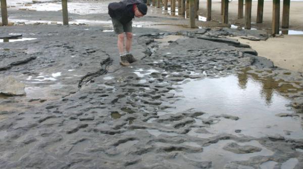 primele urme pasi oameni europa