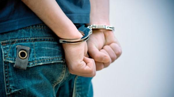 politia din trieste a arestat sapte romani pentru comert ilegal de caini