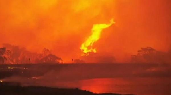 2014 cel mai fierbinte an din istorie previziuni sumbre facute de meteorologii australieni