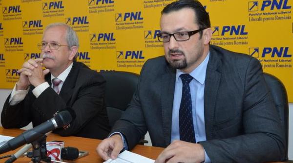 senator pnl abia astept sa iesim de la guvernare usd un plagiat o chinezarie politica precum adibas si mike