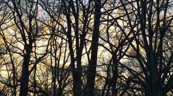 cum va fi vremea pe 1 martie