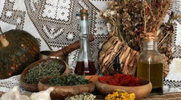 mama filica i plantele ei tamaduitoare