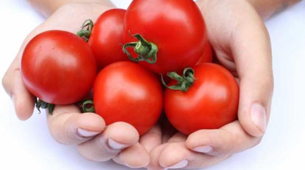 ro iile campioane in preven ia cancerului