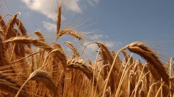 1 6 miliarde de euro pentru sprijin pe suprafata