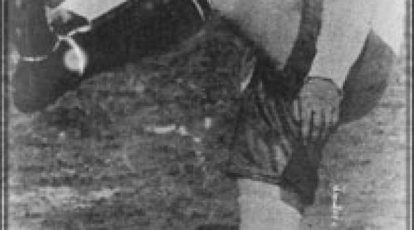 fotbal feminin primul razboi mondial