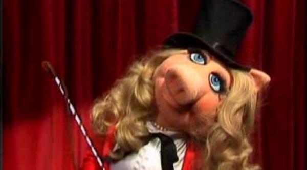 i papu ile gatesc miss piggy i cartea ei de bucate