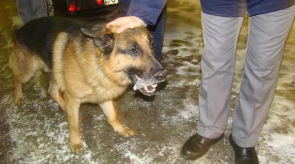 omu cel mai bun prieten al omului nu si al contrabandistilor